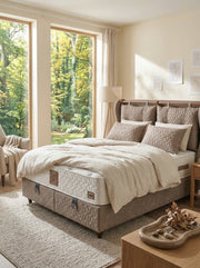 Comfort Life Bettkasten
