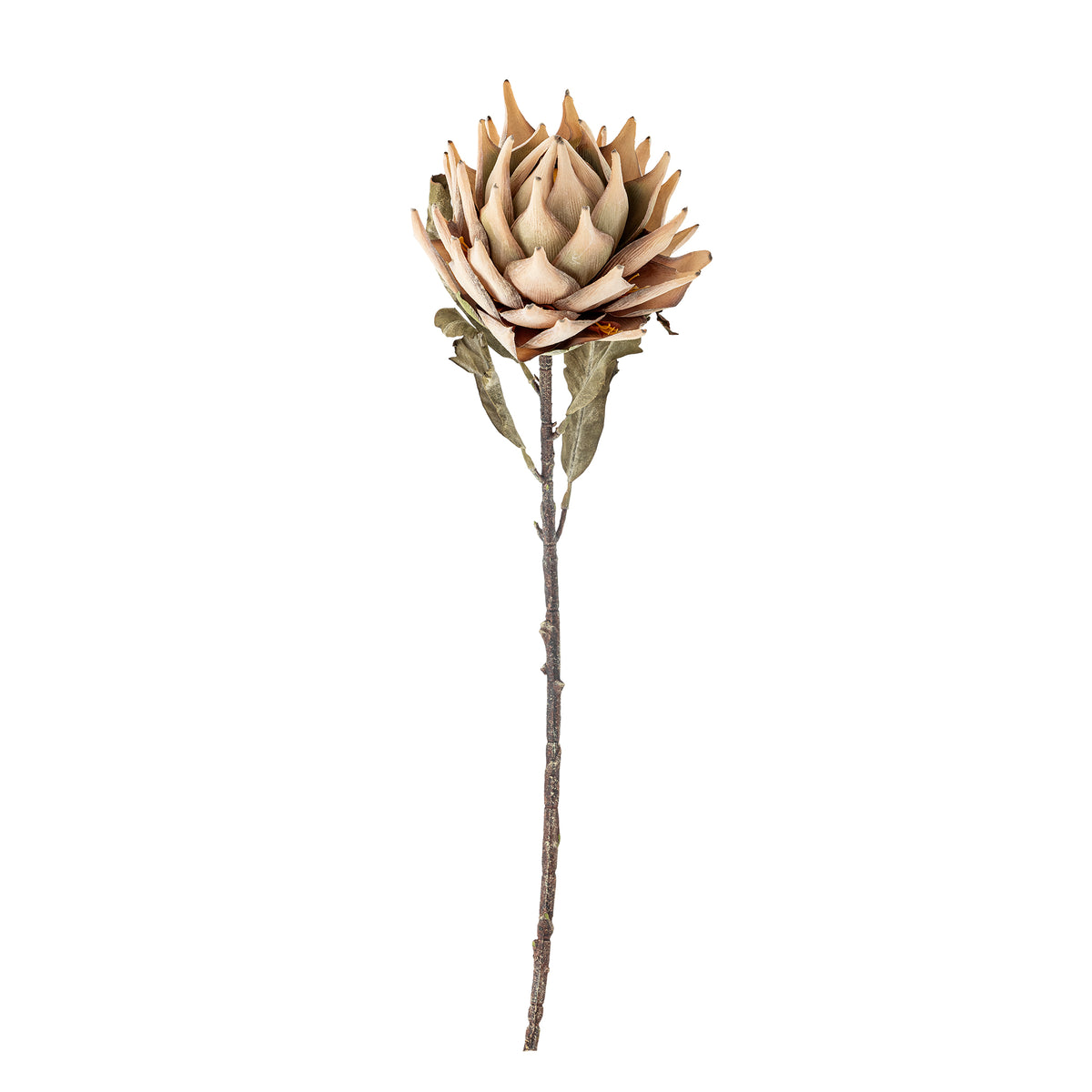 Protea Kunstblumen-Stiel – Natur Default Title