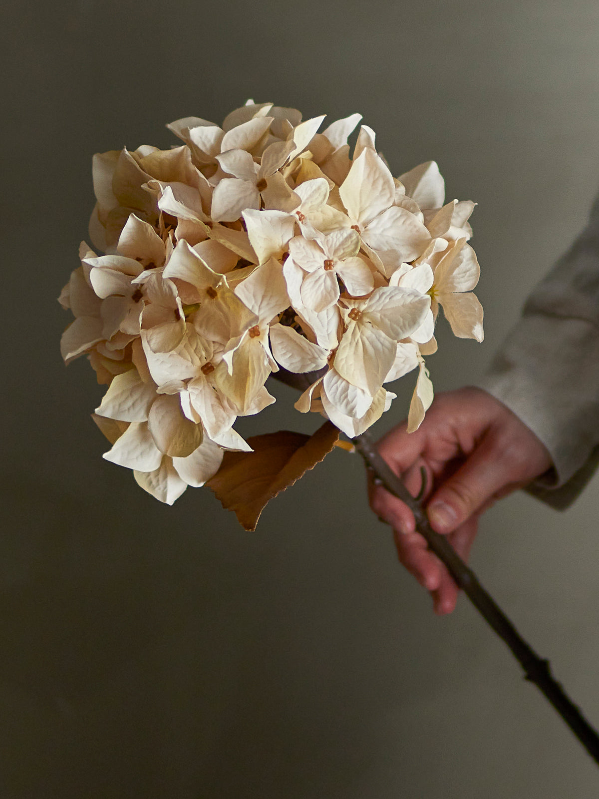Hydrangea Kunstblumen-Stiel – Natur