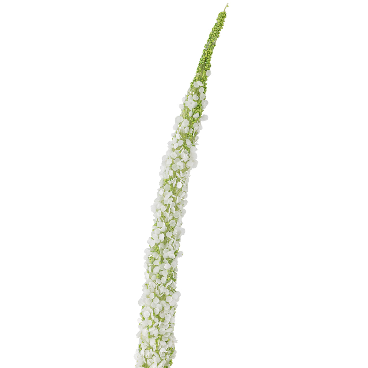 Foxtail Kunstblumen-Stiel – Weiss