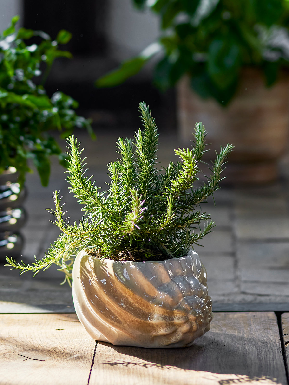 Corelia Blumentopf – Braun, Steingut