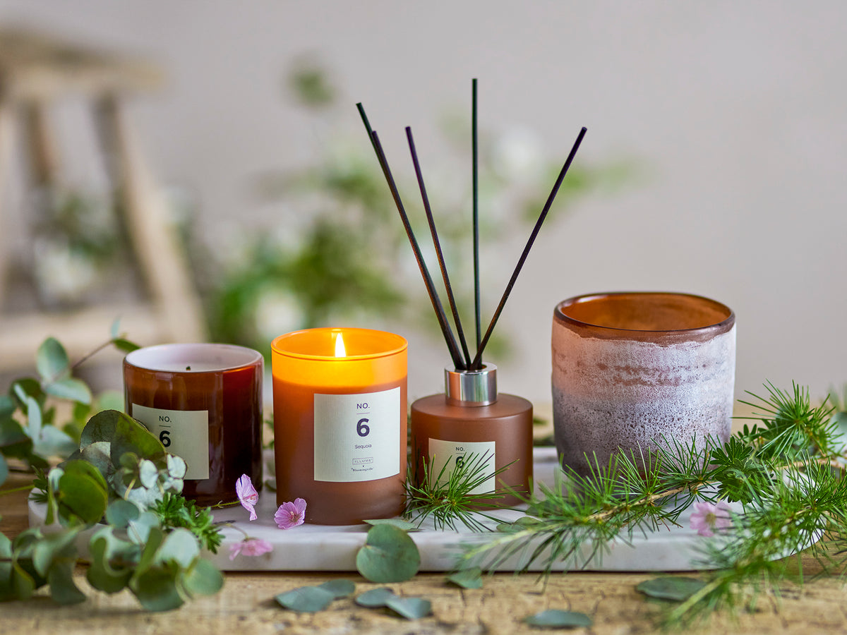 NO. 6 - Sequoia Duftkerze – Braun, Natürliches Wachs
