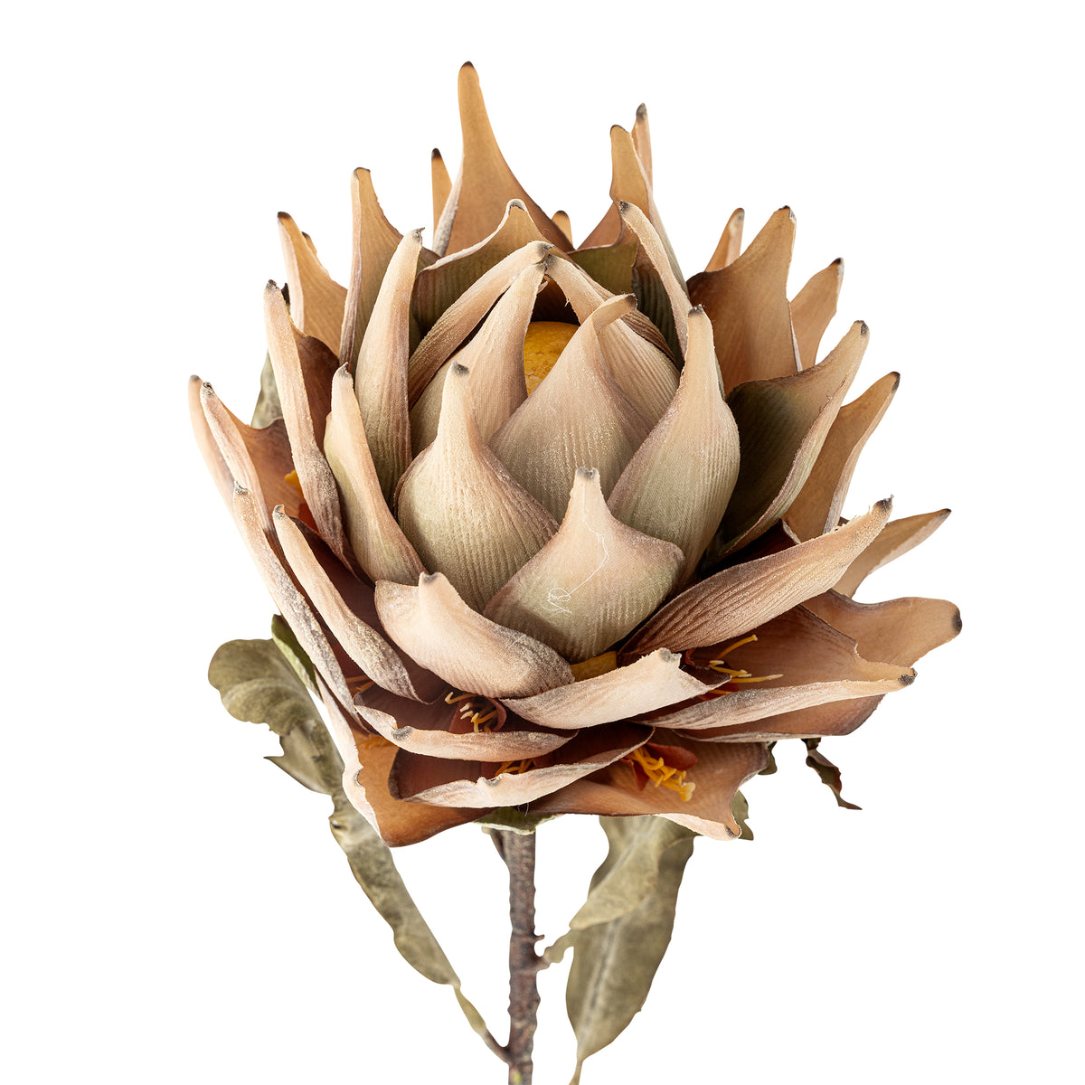Protea Kunstblumen-Stiel – Natur