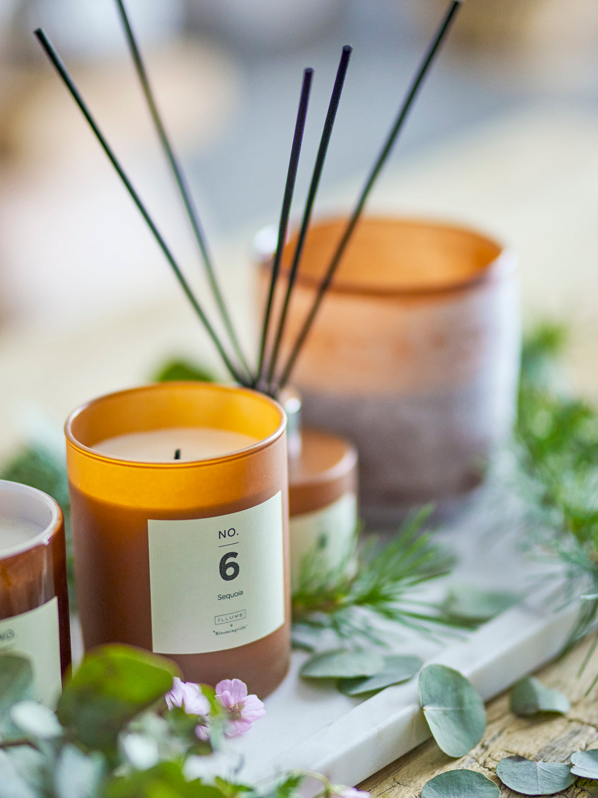 NO. 6 - Sequoia Duftkerze – Braun, Natürliches Wachs