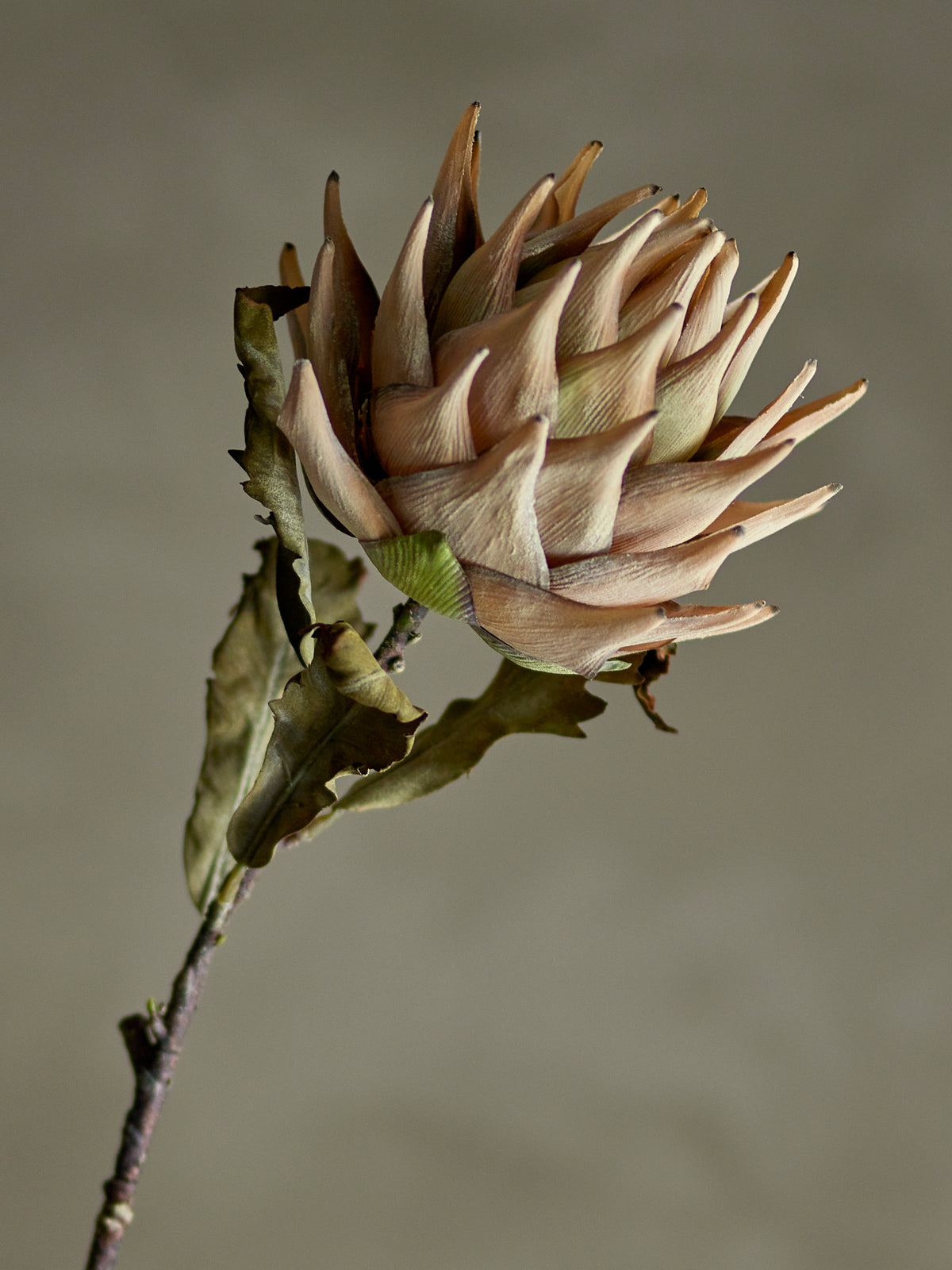 Protea Kunstblumen-Stiel – Natur